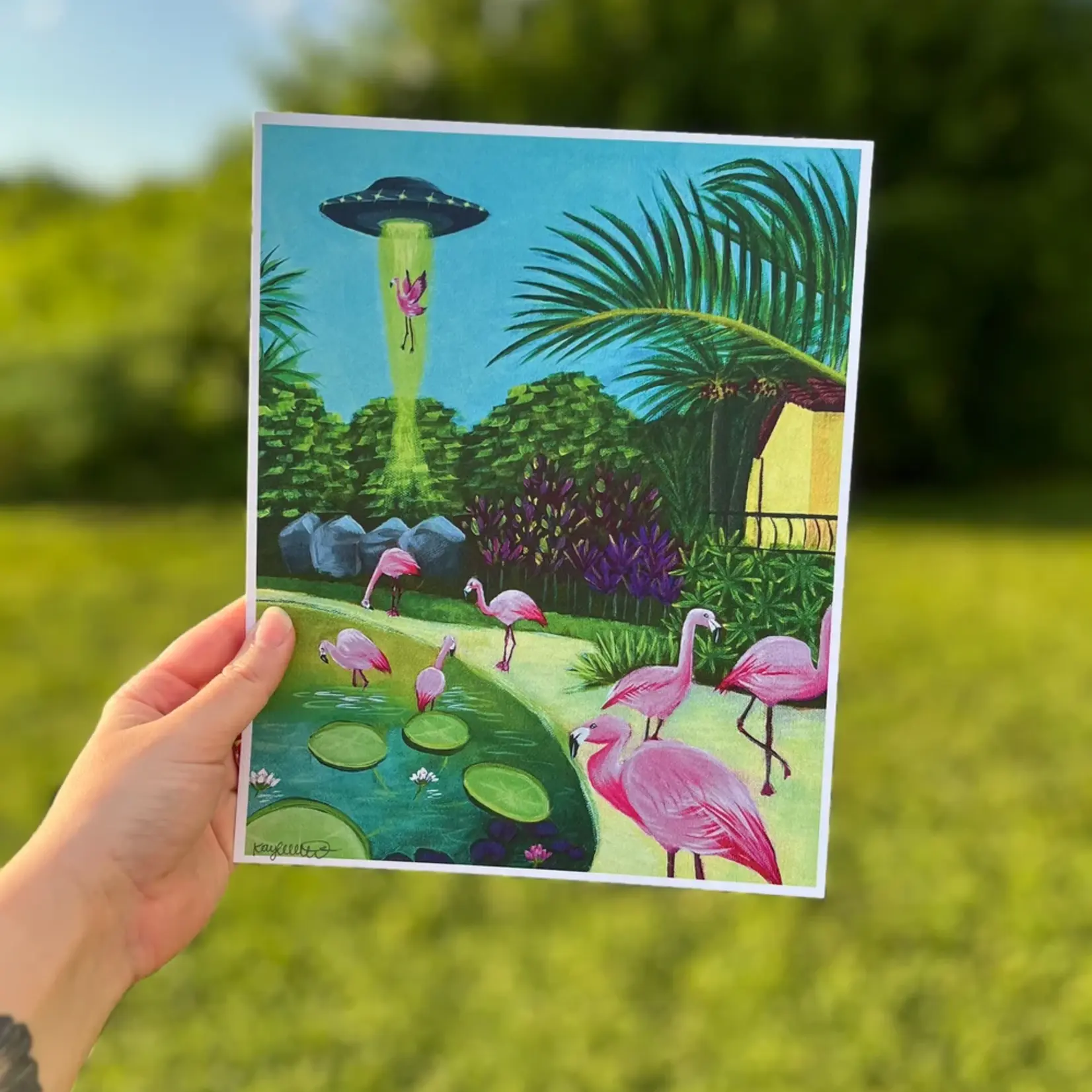 Kayla Heintz Kayla Heintz's “Sunken Gardens Flamingo Abduction” 8" x 10" Print