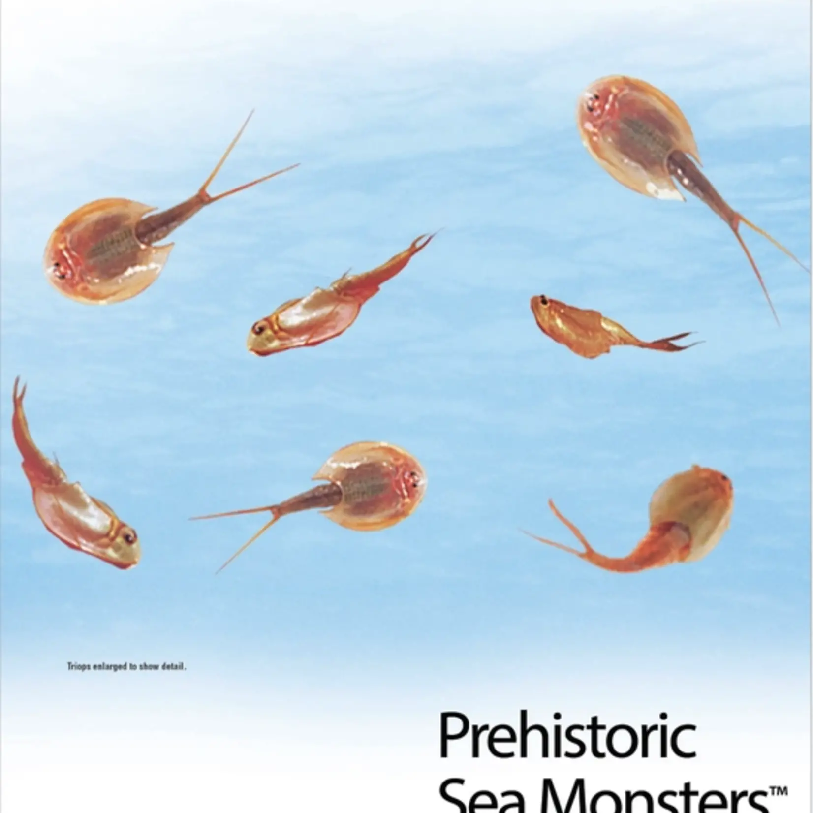 Prehistoric Pet Sea Monsters