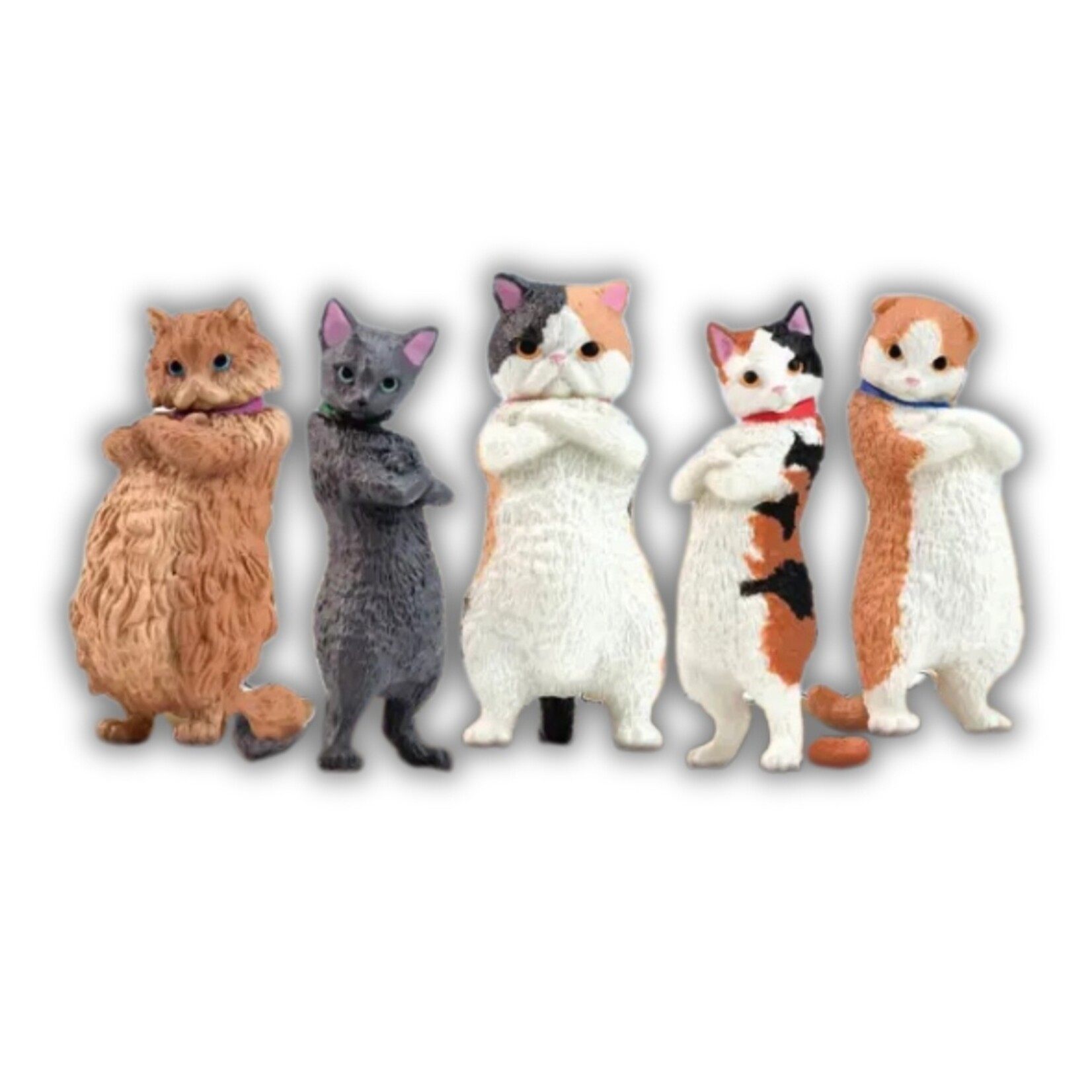 Attitude Cats Blind Box