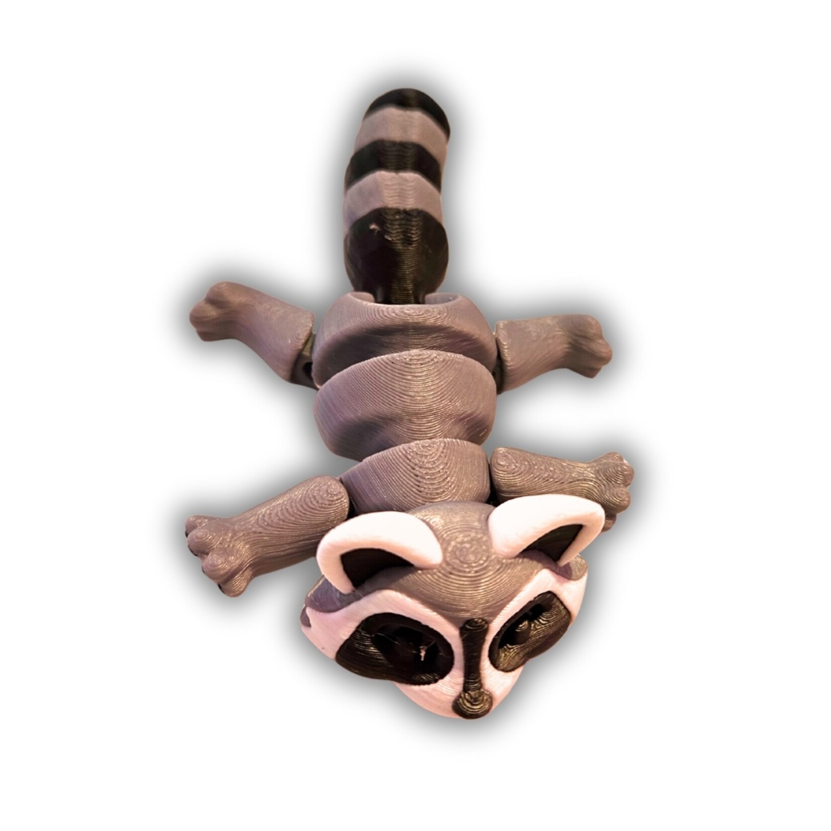 Raccoon Fidget