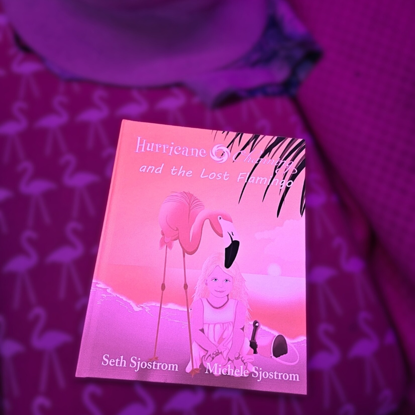 Sjostrom Sjostrom's "The Lost Flamingo" Hardcover Book