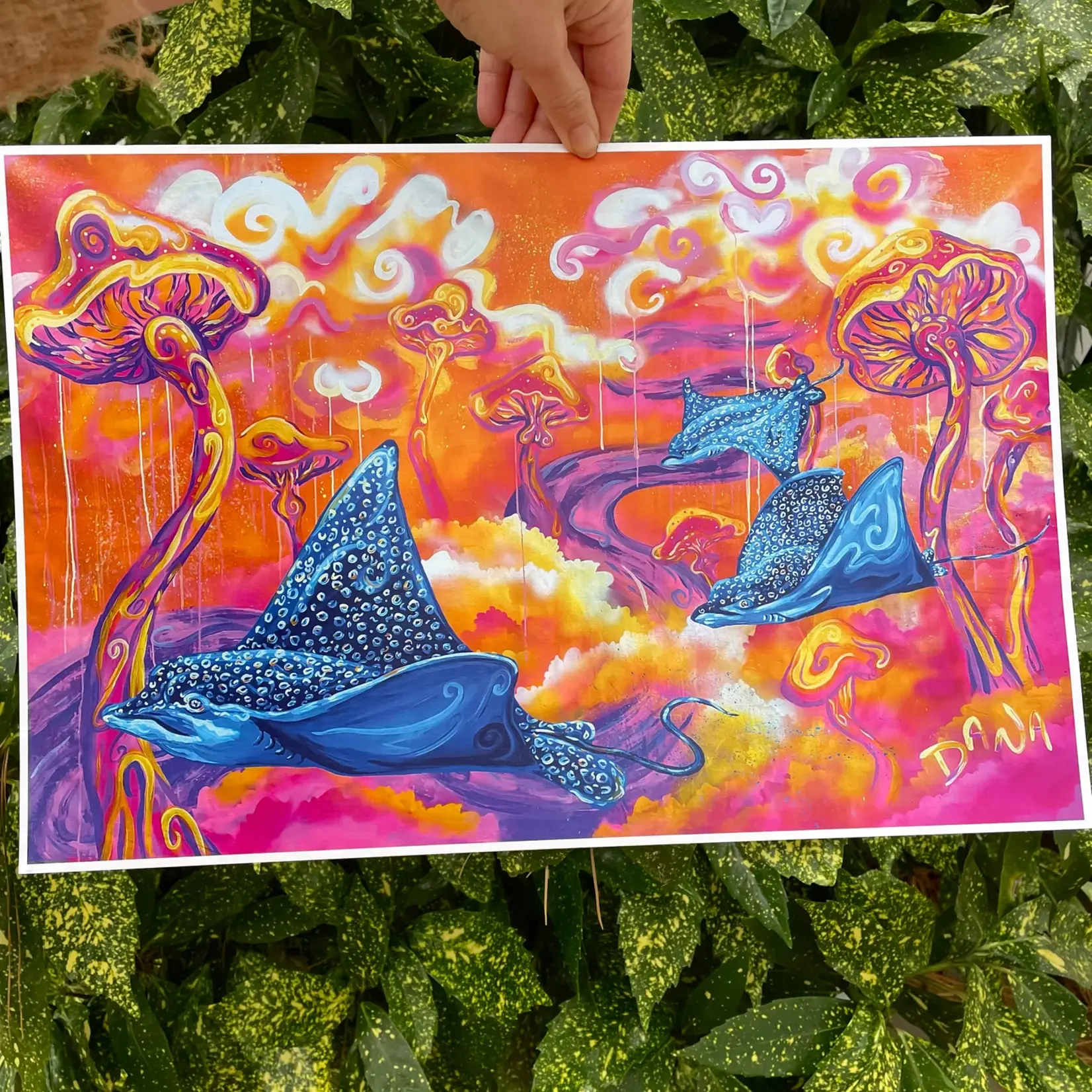 Dana Donkle Dana Donkle - Print - Fever Dream 12x18