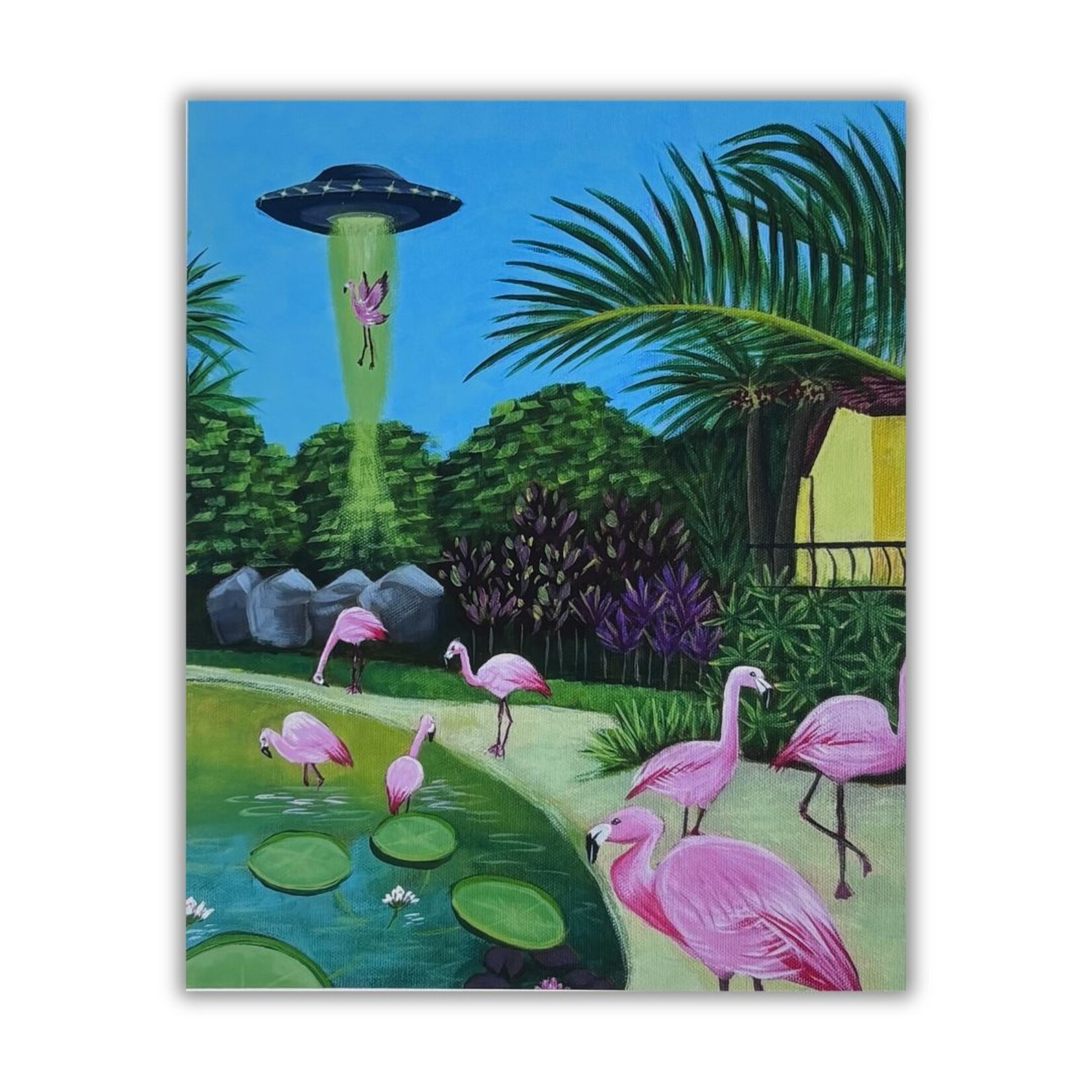 Kayla Heintz Kayla Heintz's “Sunken Gardens Flamingo Abduction” 8" x 10" Print
