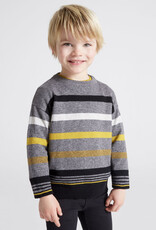 Fossil Striped Jumper
