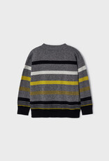 Fossil Striped Jumper