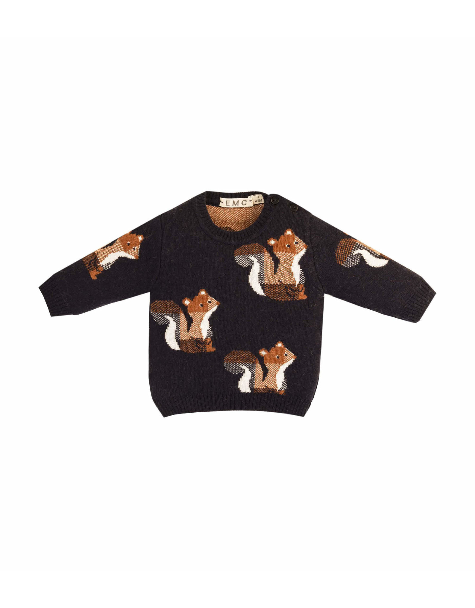 EMC Squirrel Sweater
