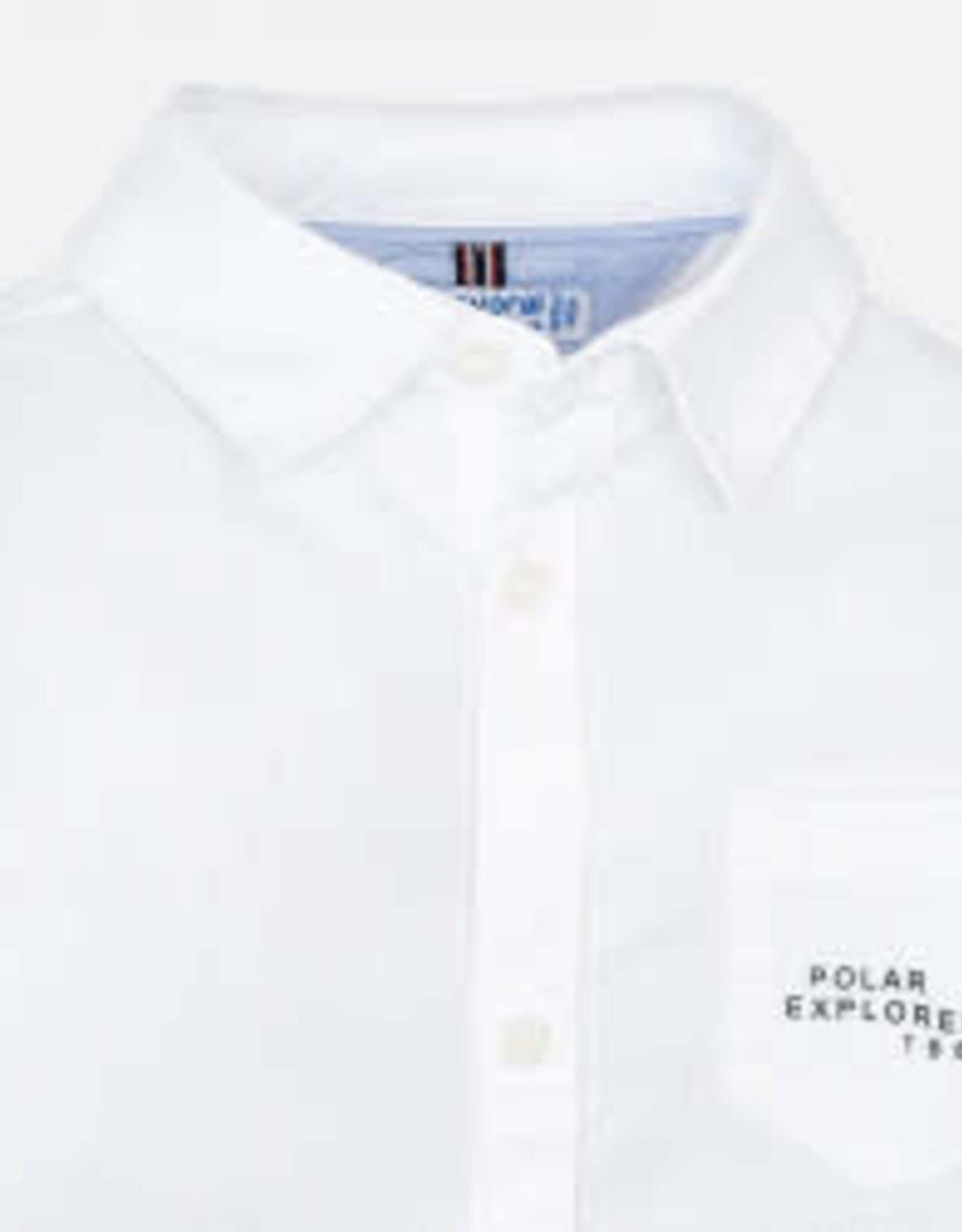 Polar Explorers Button Down Shirt
