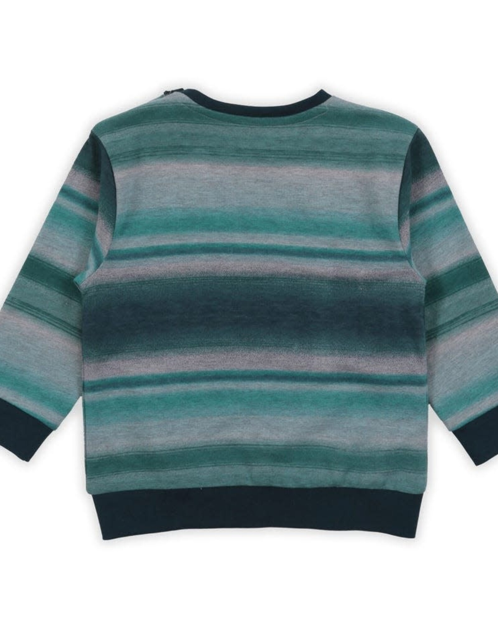 Noruk Arctic Striped Sweatshirt