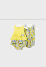 Mayoral Dandelion Point Papers Set of 2