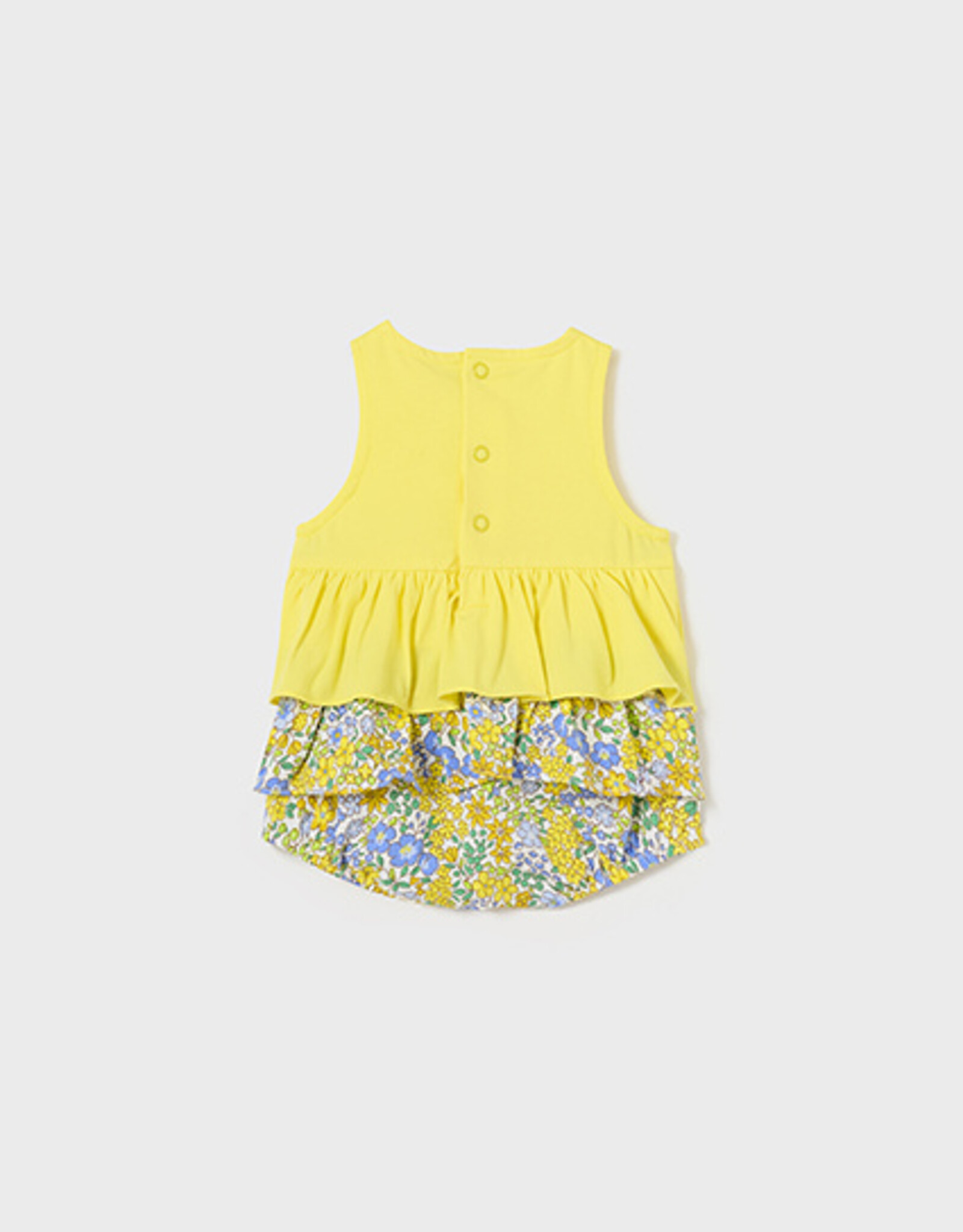 Mayoral Dandelion Point Papers Set of 2