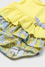 Mayoral Dandelion Point Papers Set of 2