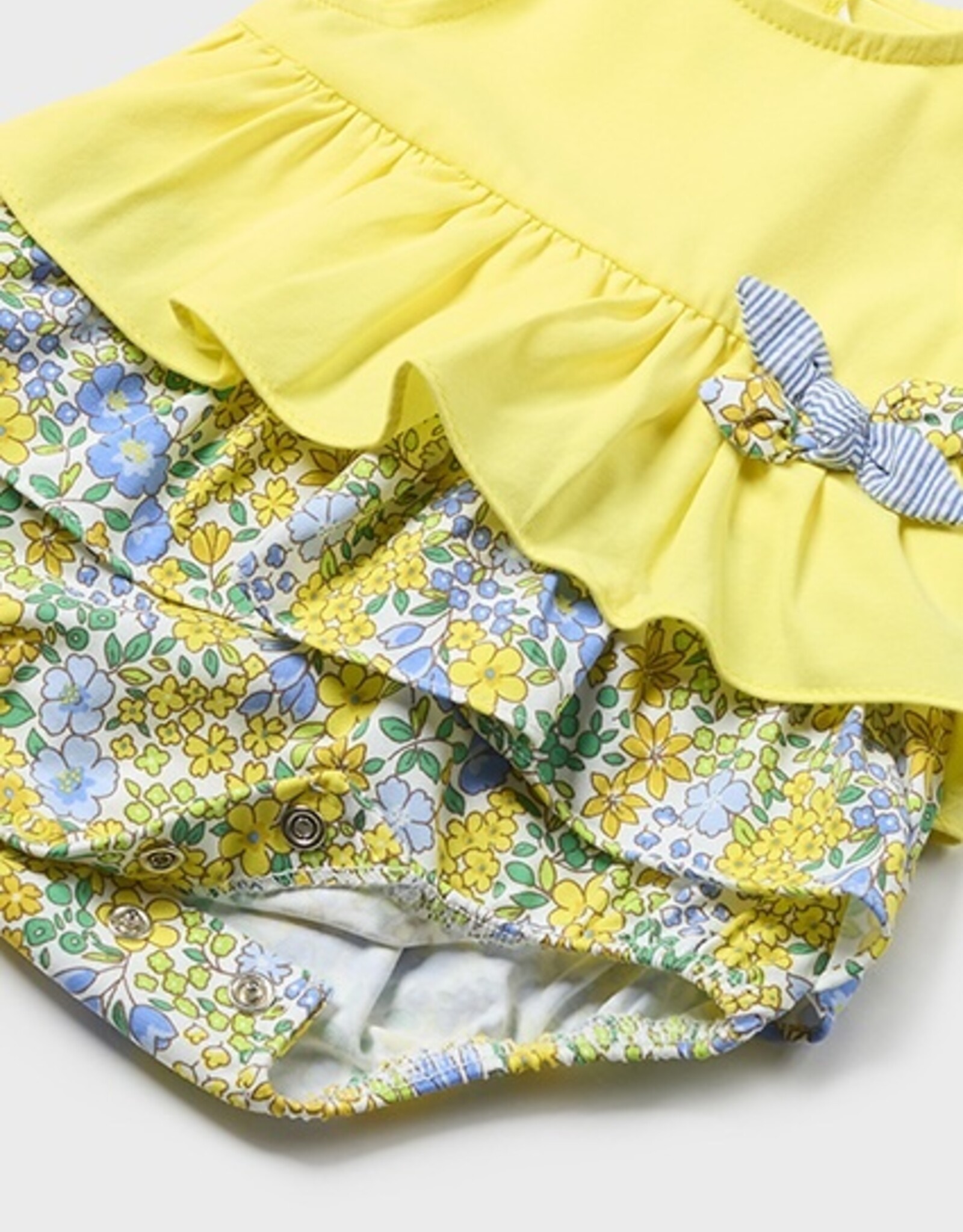 Mayoral Dandelion Point Papers Set of 2