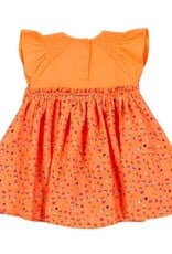 Noruk Apple Picnic Dress