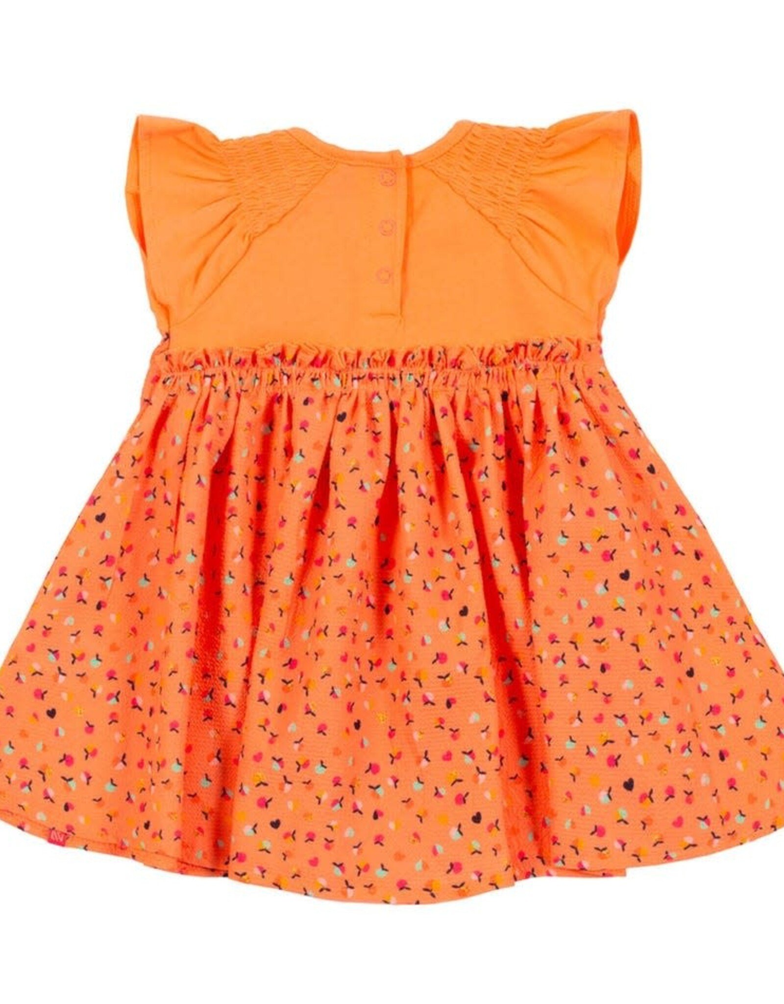 Noruk Apple Picnic Dress