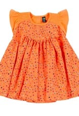 Noruk Apple Picnic Dress