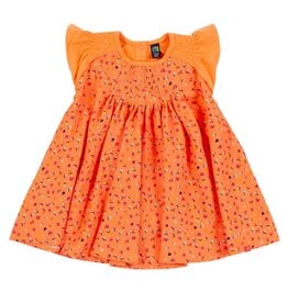 Noruk Apple Picnic Dress