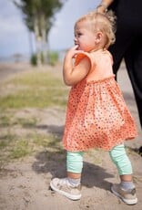 Noruk Apple Picnic Dress