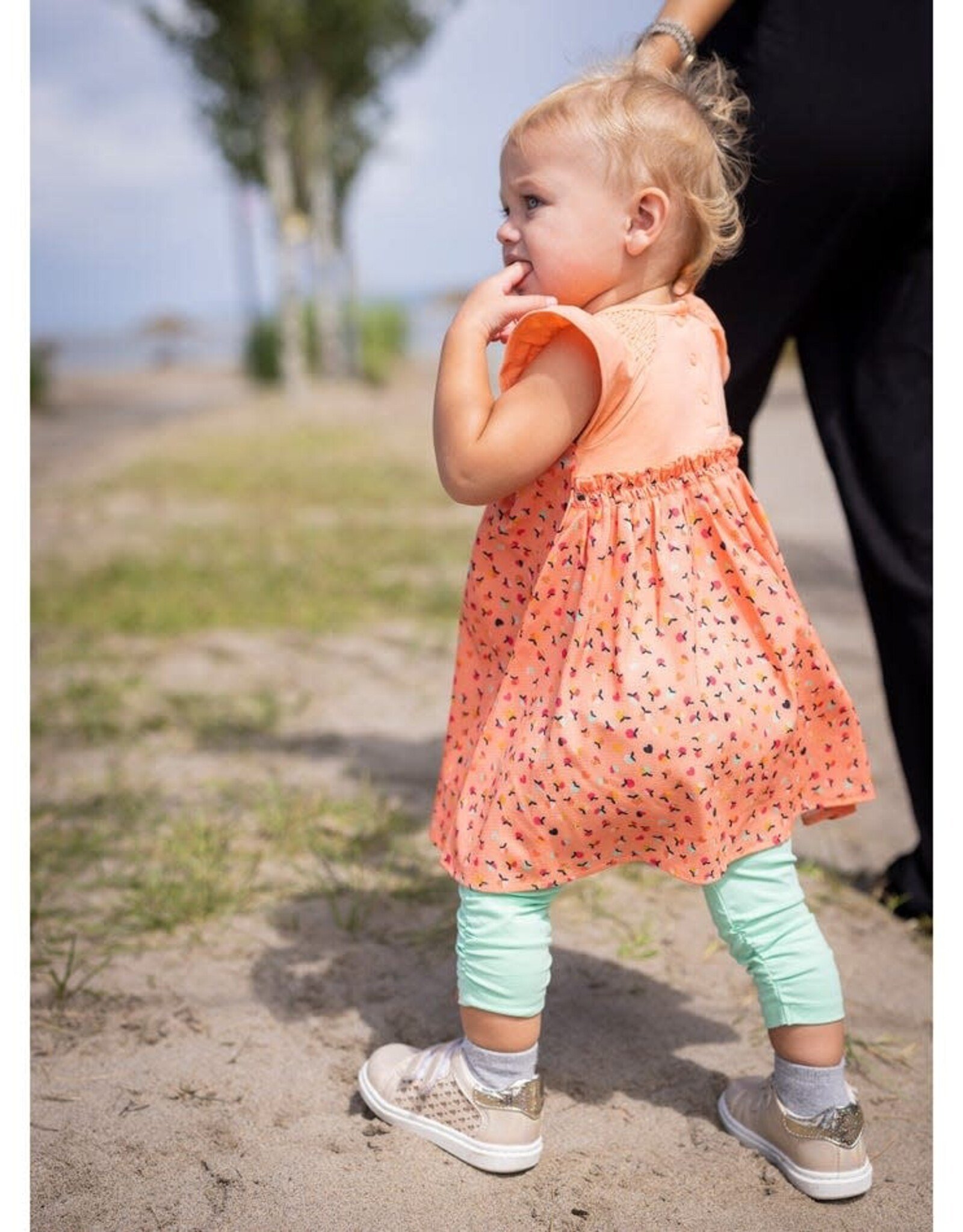 Noruk Apple Picnic Dress