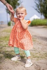 Noruk Apple Picnic Dress