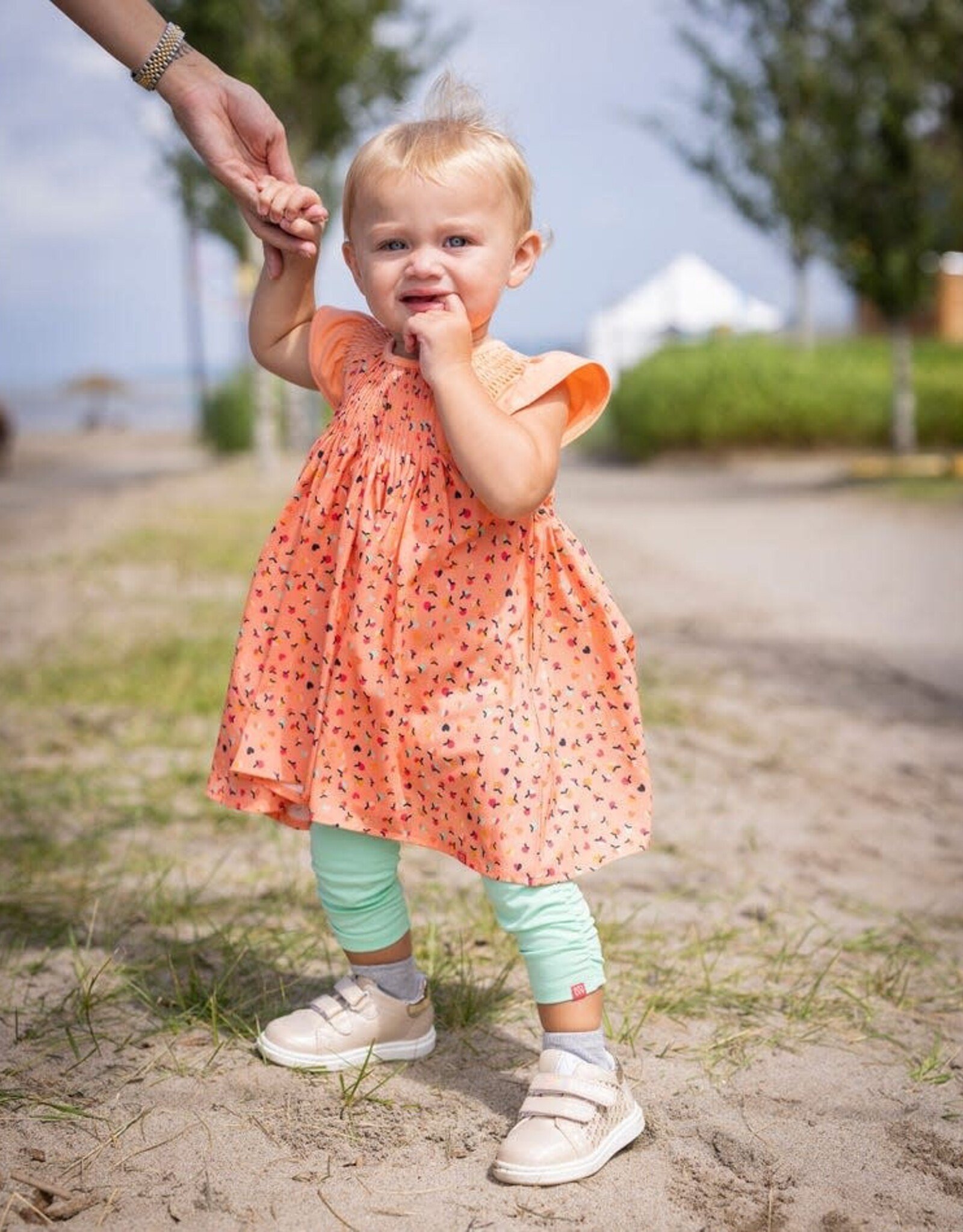 Noruk Apple Picnic Dress