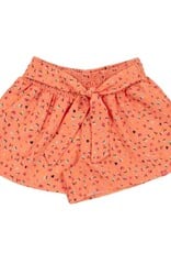 Noruk Picnic Flared Shorts