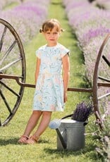 Deux Par Deux Baby Blue Flowers Dress