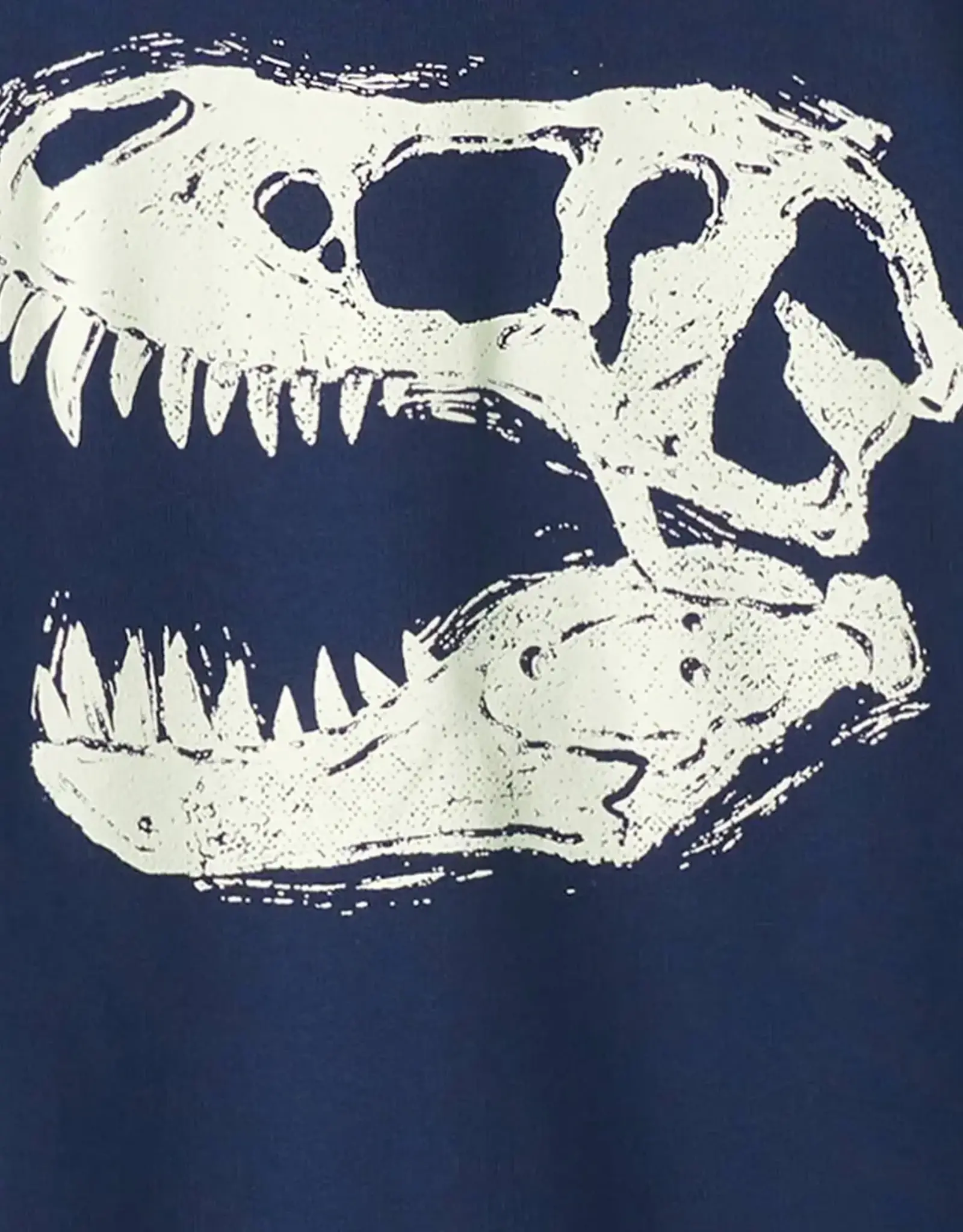 Hatley Dino Glow Pullover Sweatshirt