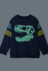 Hatley Dino Glow Pullover Sweatshirt