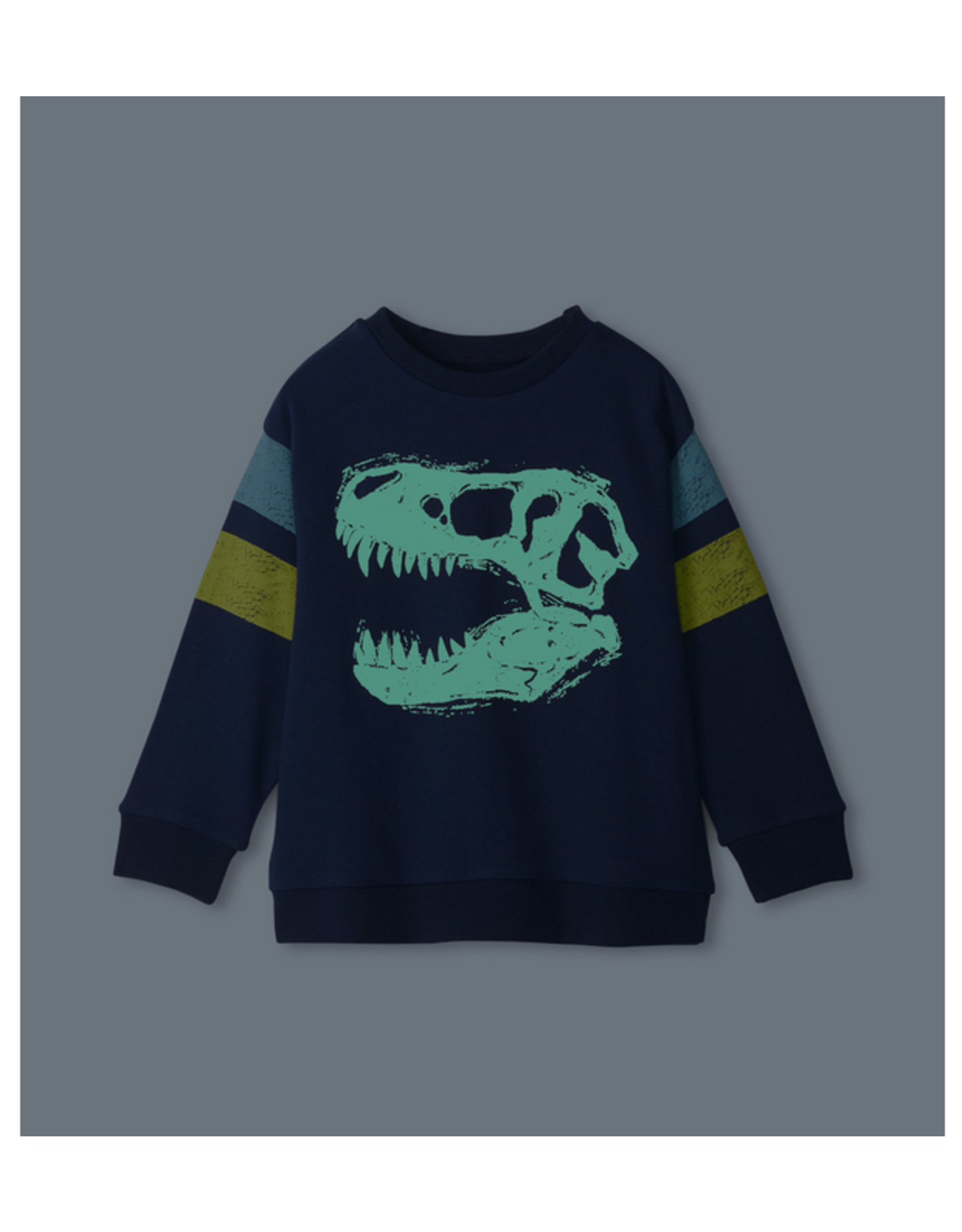 Hatley Dino Glow Pullover Sweatshirt