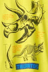 Hatley Triceratops Graphic Tee