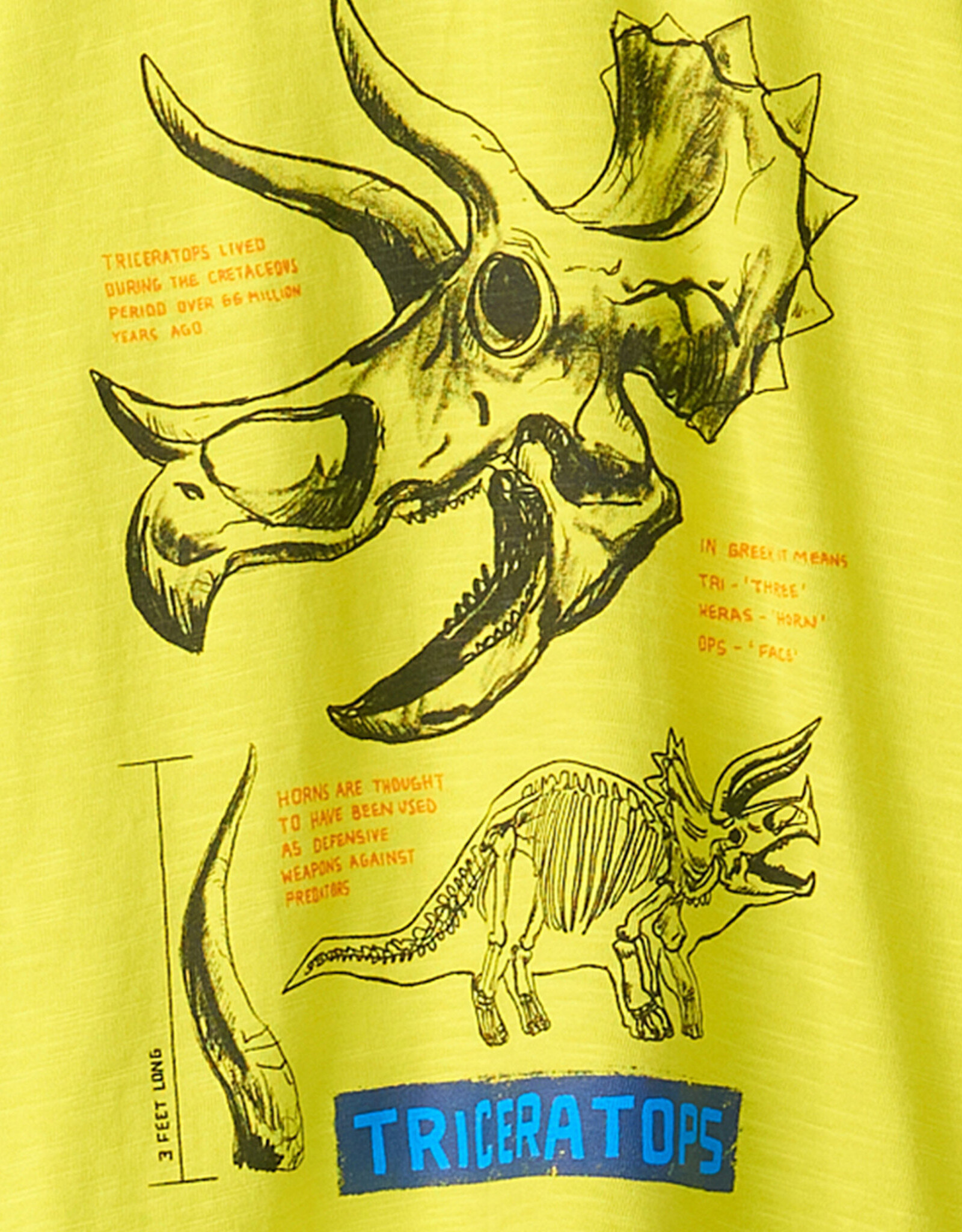 Hatley Triceratops Graphic Tee