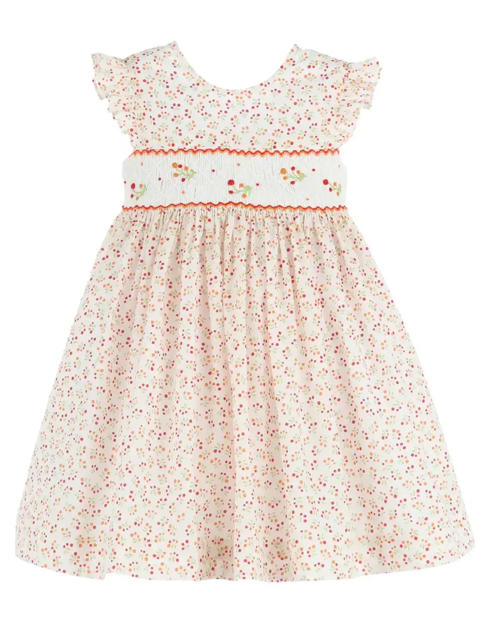 Casero Orange Cherry Dress