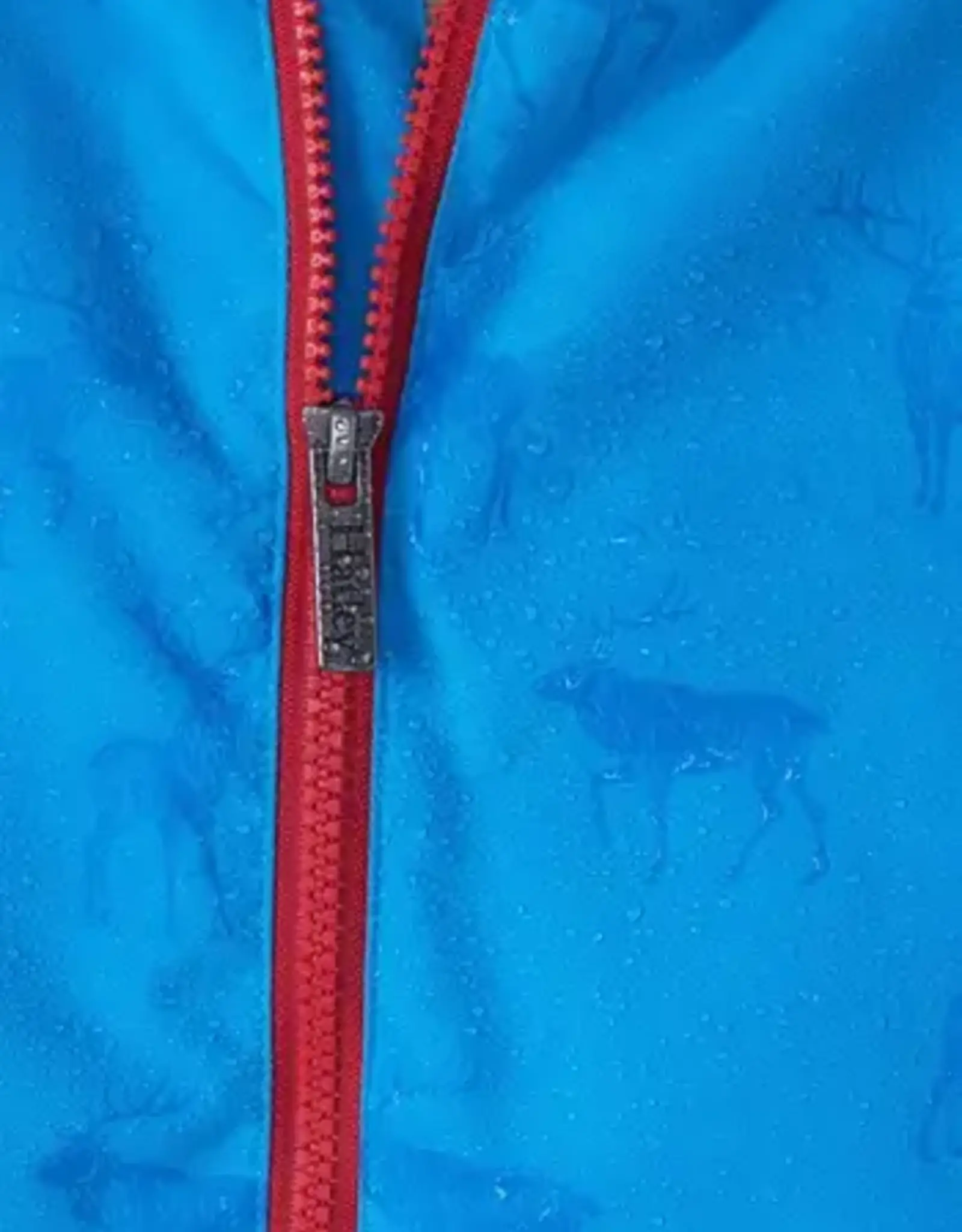 Hatley Blue Elk Field Jacket