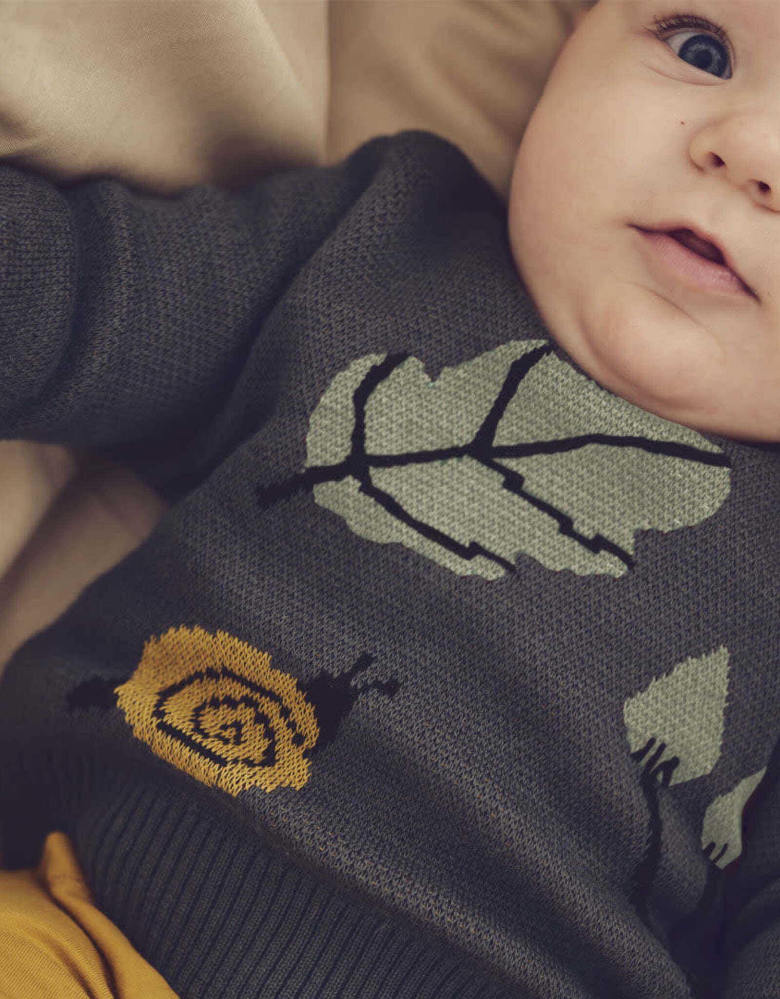 Green Cotton Forest Knit Sweater