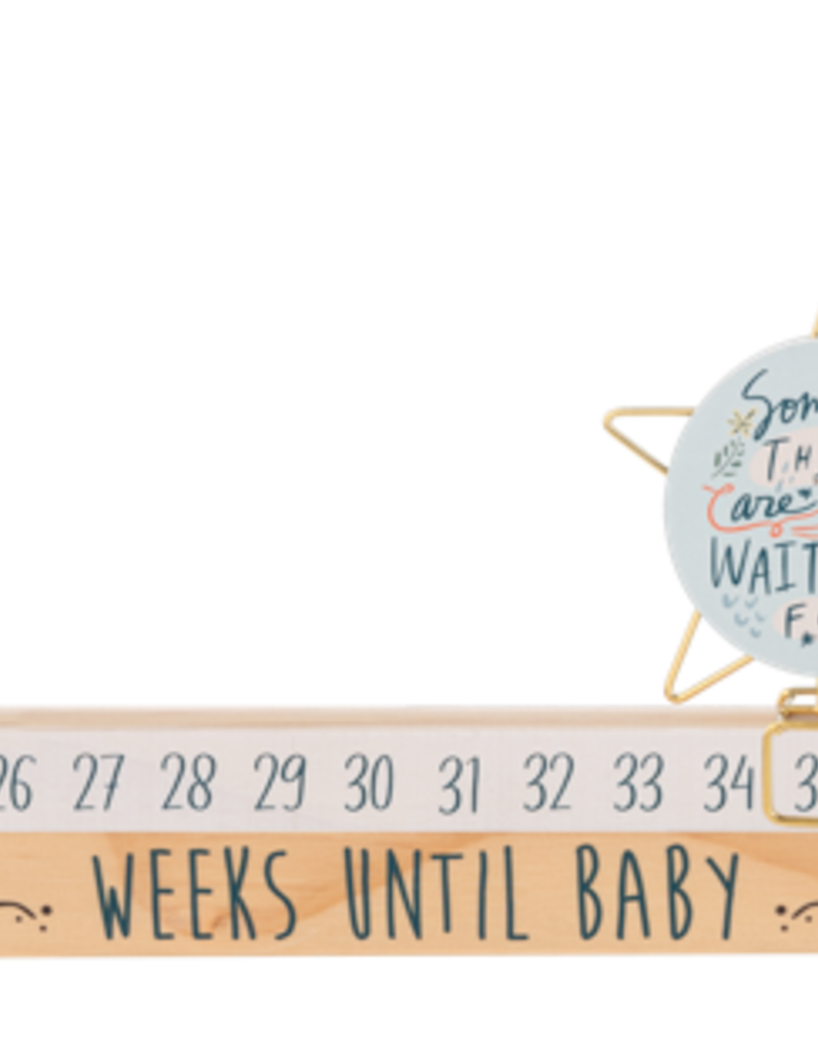 Baby Ganz Collection Star Slide Countdown Baby Calendar 2pc Set