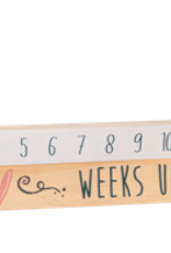 Baby Ganz Collection Star Slide Countdown Baby Calendar 2pc Set