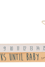 Baby Ganz Collection Star Slide Countdown Baby Calendar 2pc Set