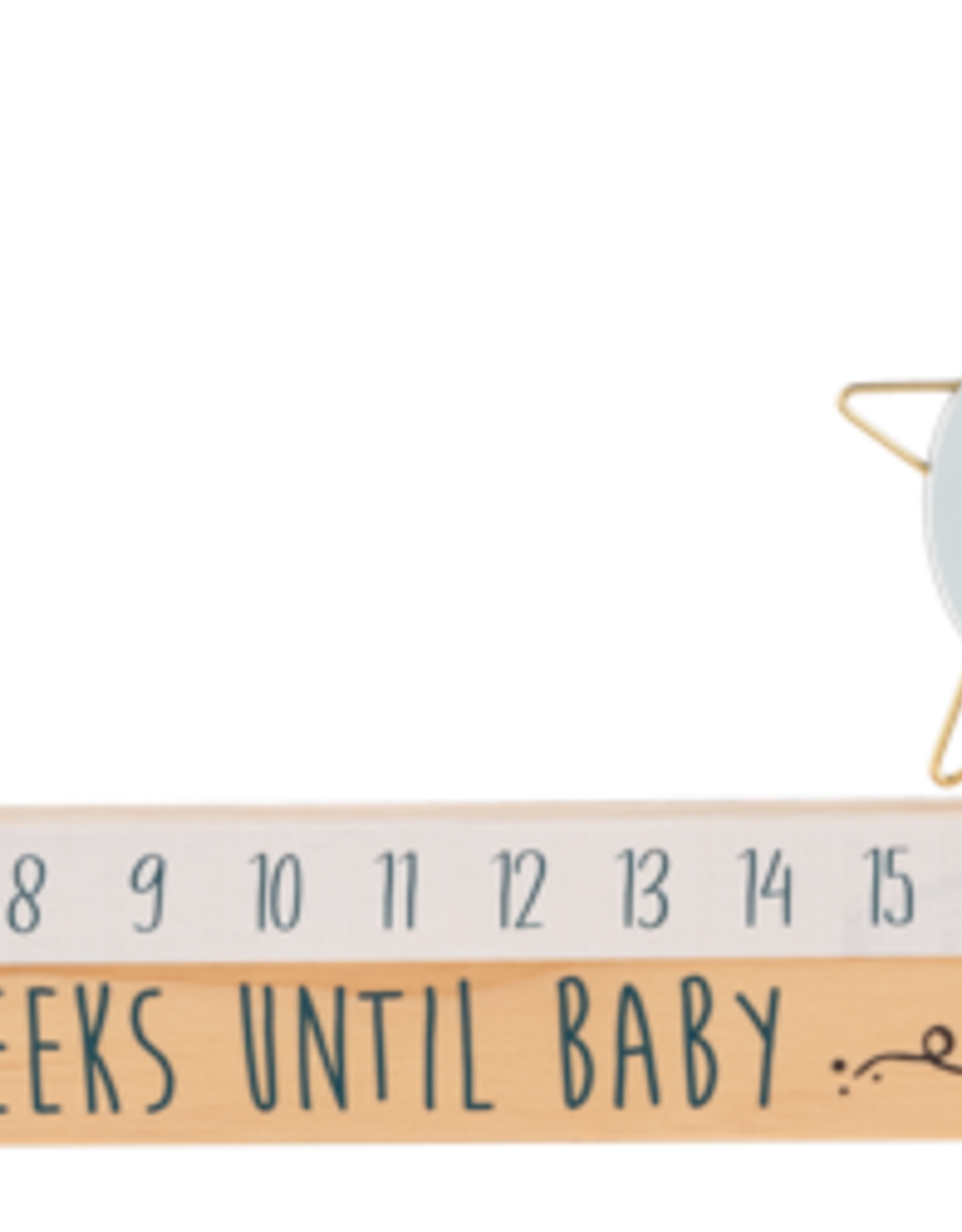 Baby Ganz Collection Star Slide Countdown Baby Calendar 2pc Set