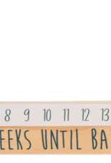Baby Ganz Collection Star Slide Countdown Baby Calendar 2pc Set