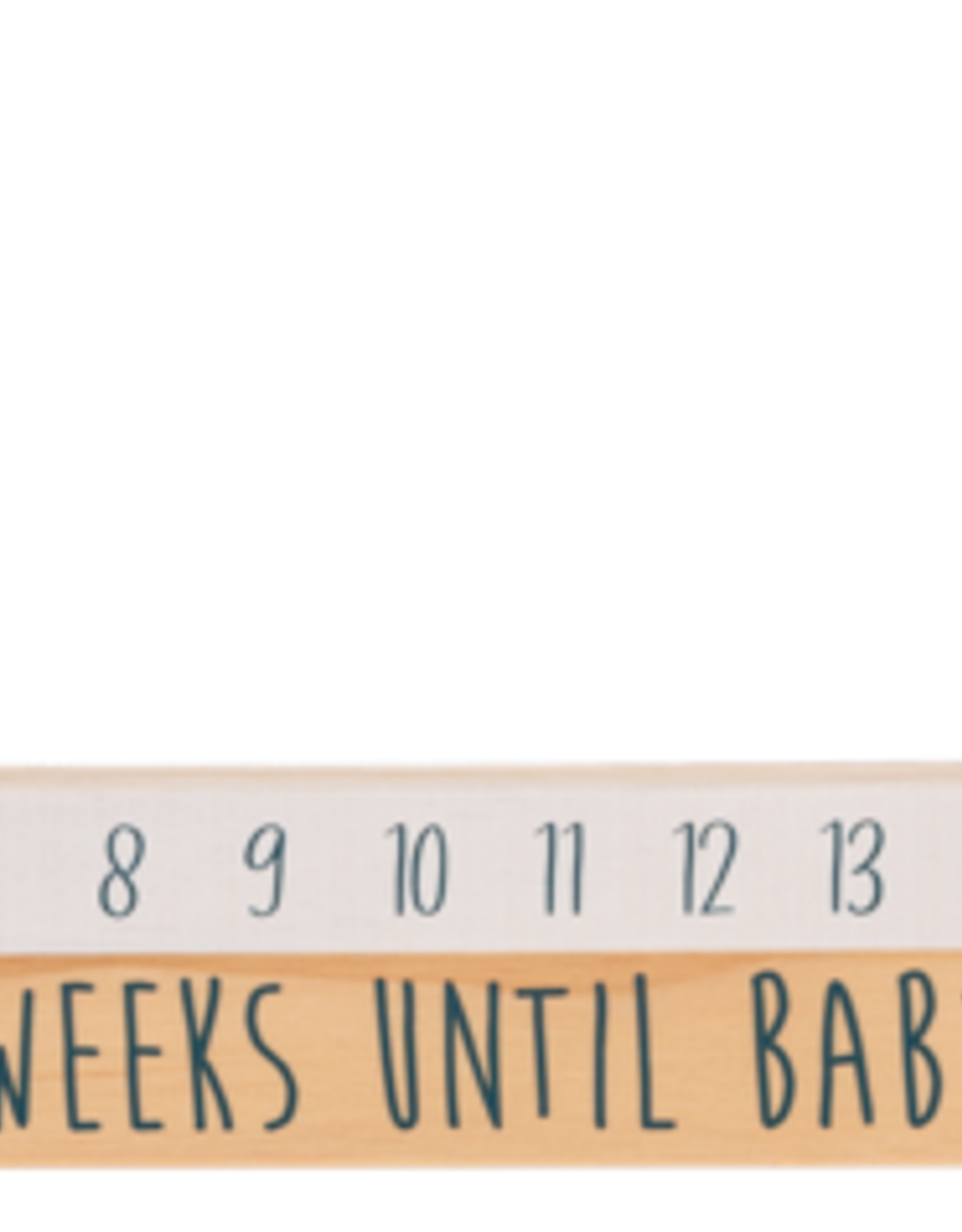 Baby Ganz Collection Star Slide Countdown Baby Calendar 2pc Set
