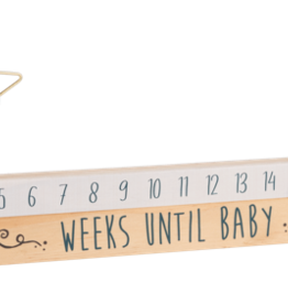 Baby Ganz Collection Star Slide Countdown Baby Calendar 2pc Set