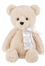 Baby Ganz Collection One is Fun! Bear