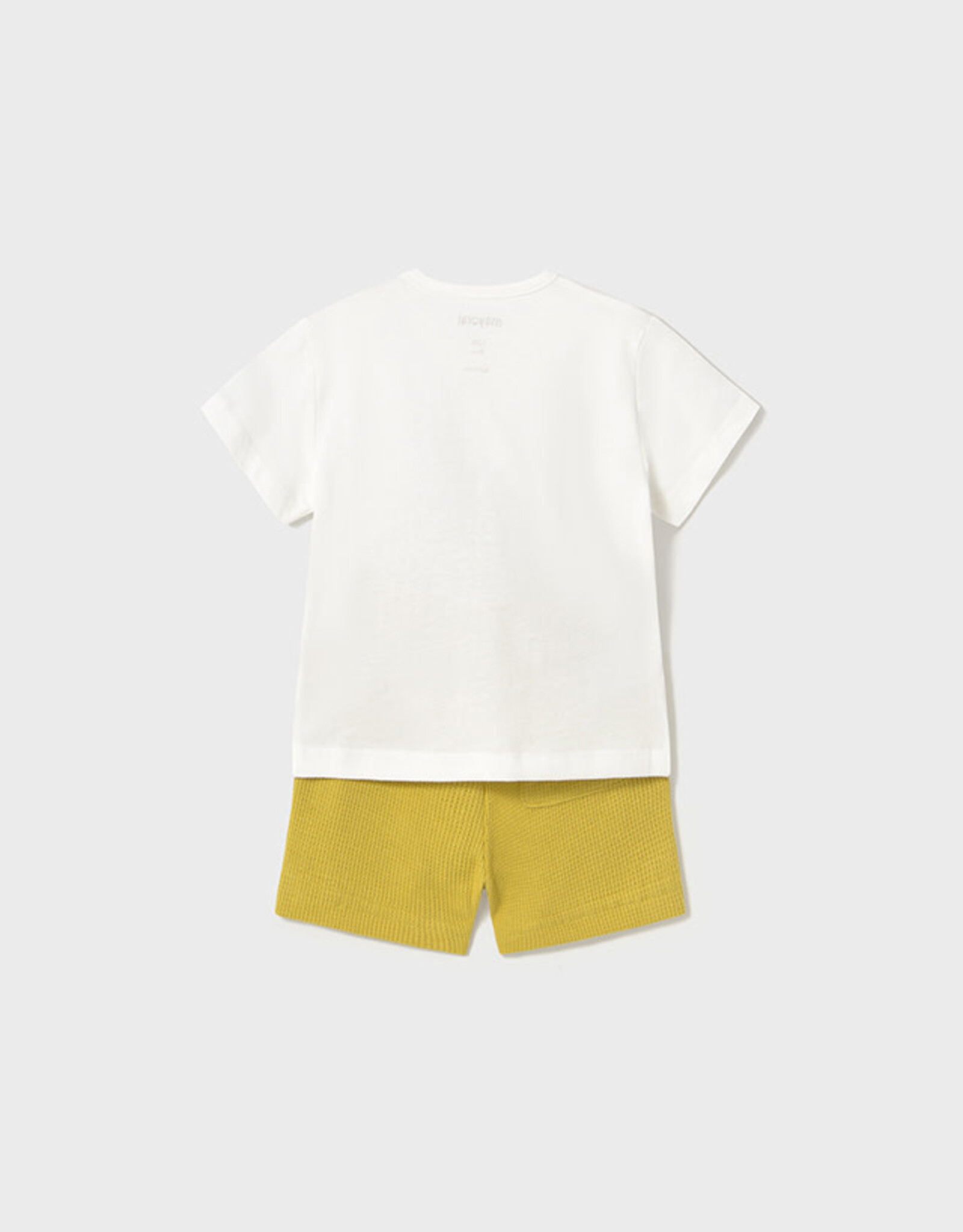 Mayoral Gold Tiger Knit Set (2 Pc)