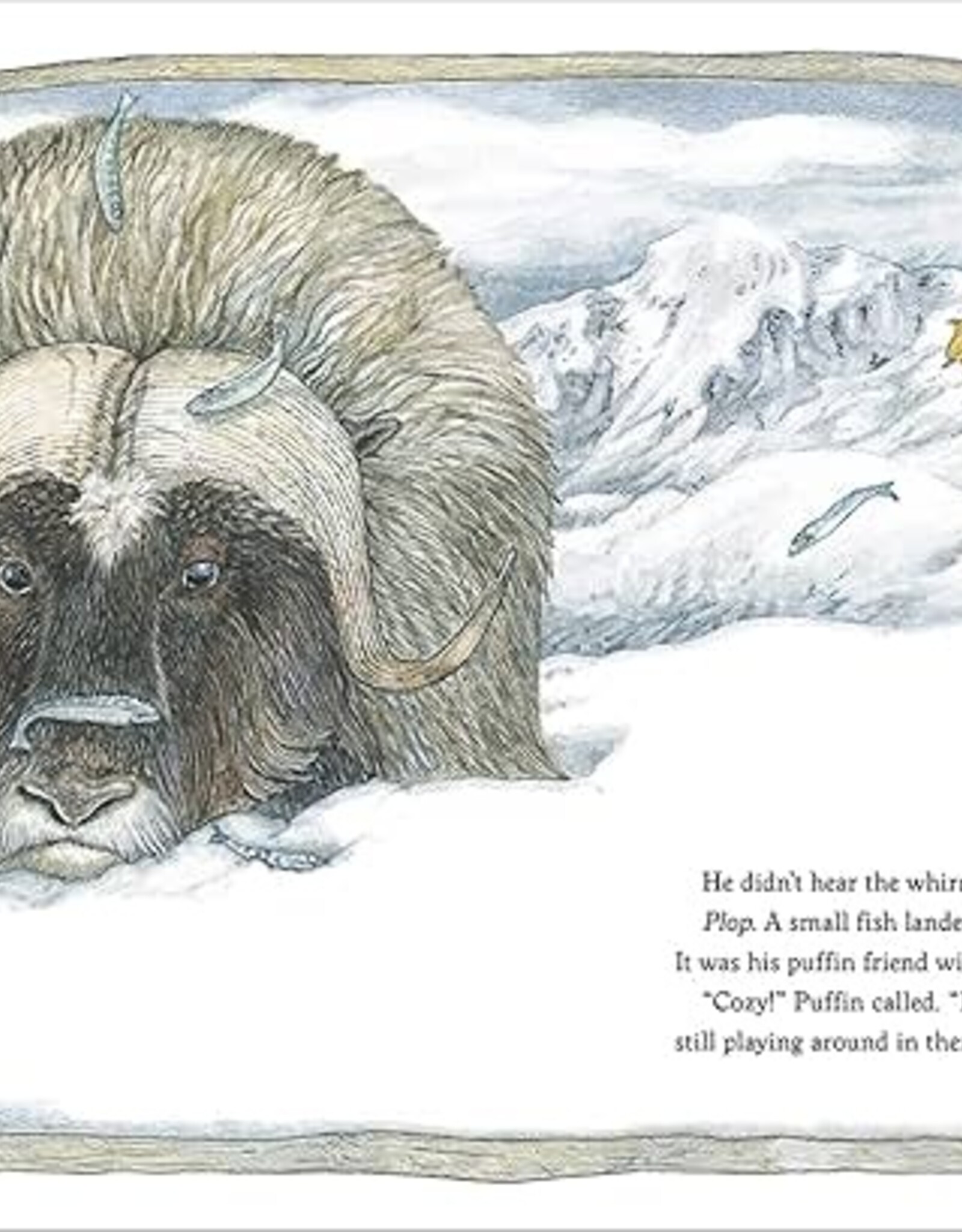 Cozy in Love Picture Book