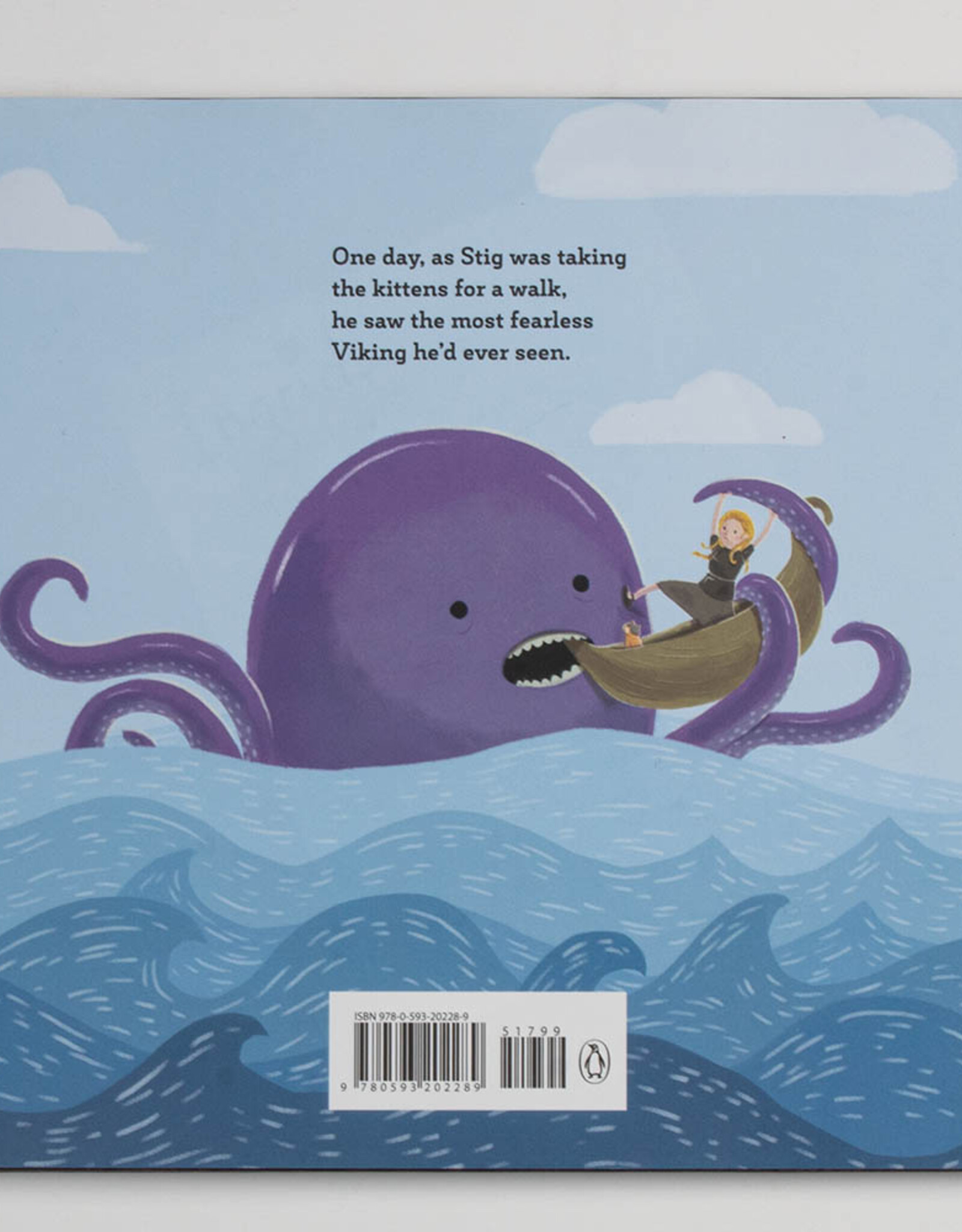 Viking in Love Picture Book