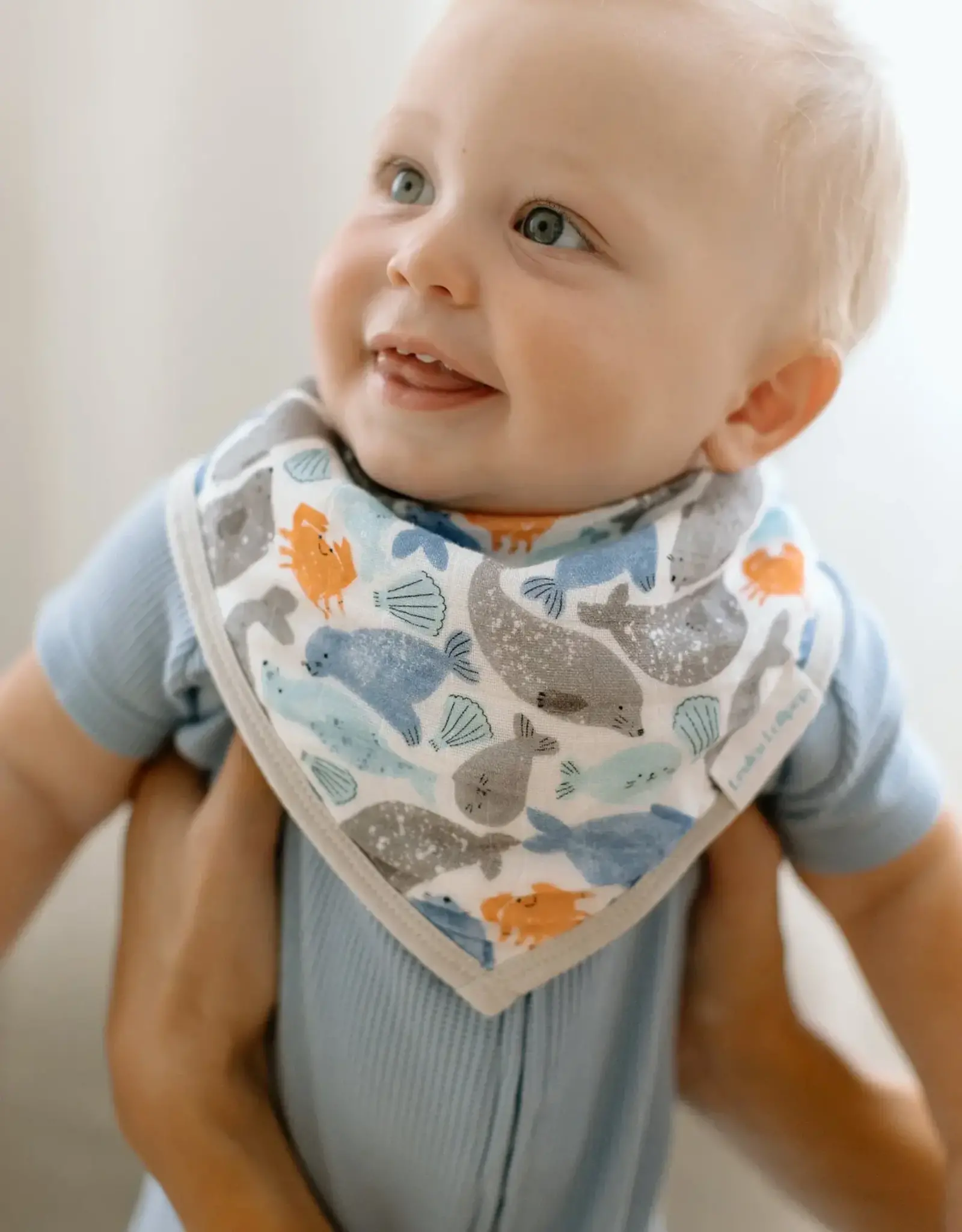 Loulou Lollipop Seals Bandana Bibs