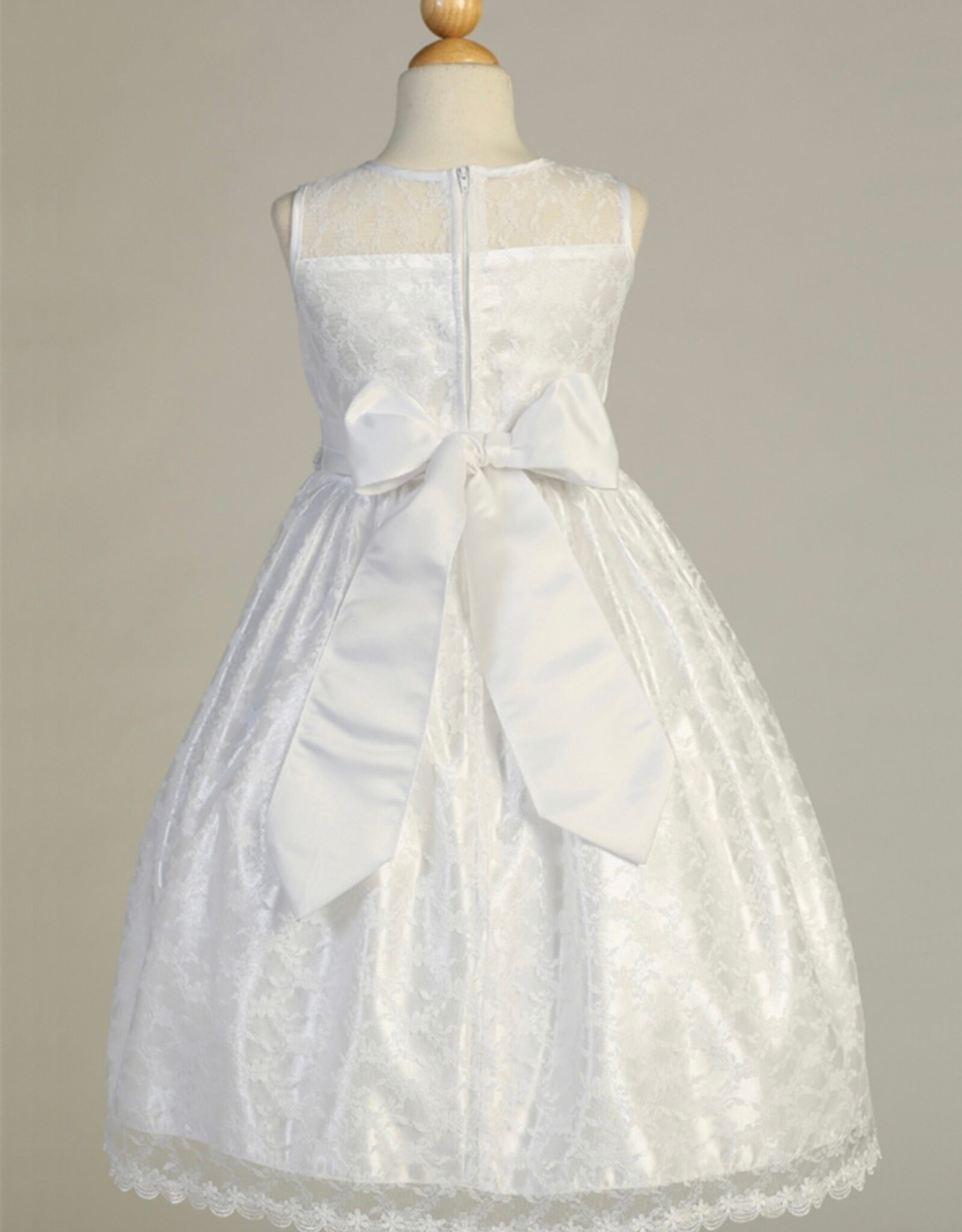 Lito Lace with Silver Trim SP161