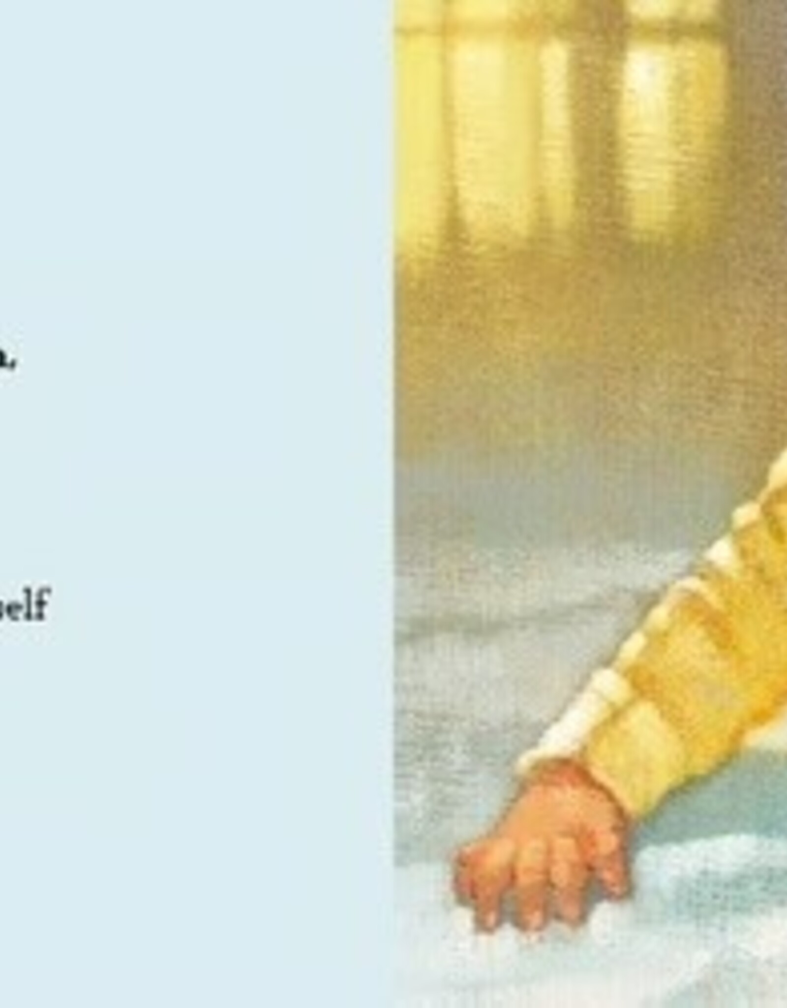 I Loved You Before You Were Born Board Book