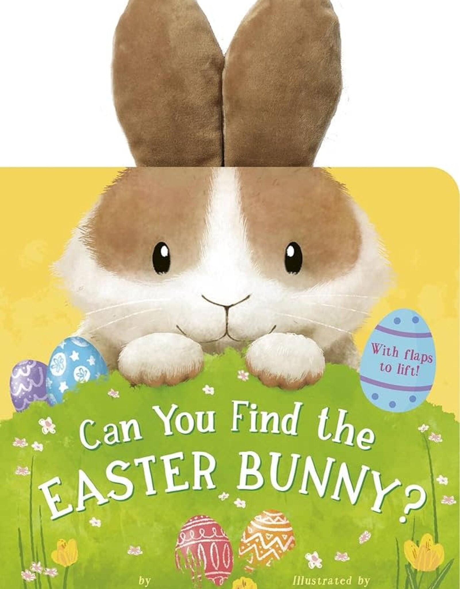 Can You Find the Easter Bunny? Board Book