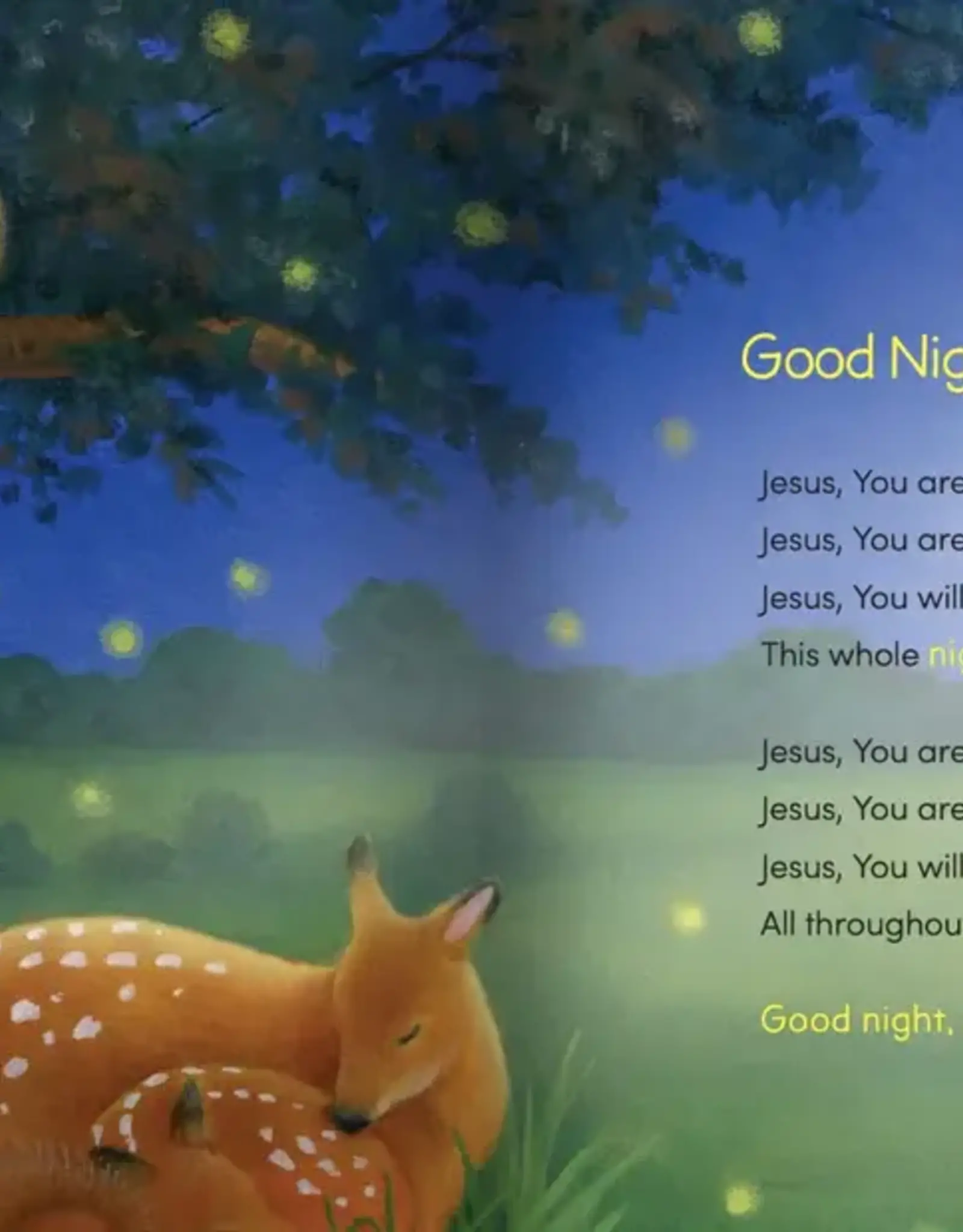 Bedtime Prayers for Little Ones Board Book